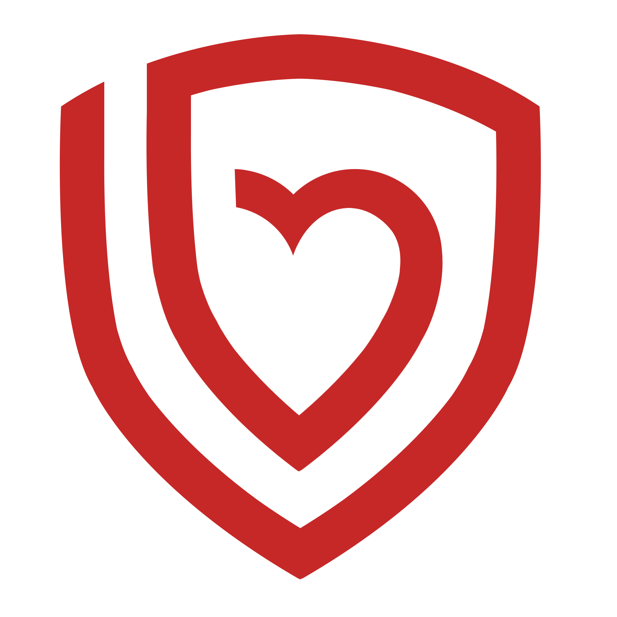 Big Love Insurance logo